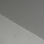 Photo n°5 de l'avis de Fotografie. fait le 14/05/2024 à 07:33 sur le  Select Hotel Silence Garden Köln à Cologne