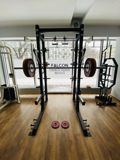 Falcon Strength Training Institute