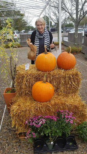 Market «Windfall Market», reviews and photos, 77 Scranton Ave, Falmouth, MA 02540, USA