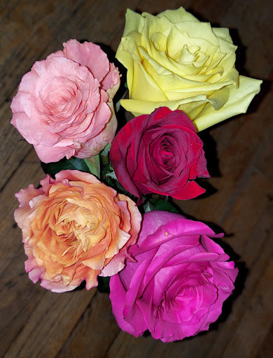 Florist «Max Stacy Flowers», reviews and photos, 350 High St, Hamilton, OH 45011, USA