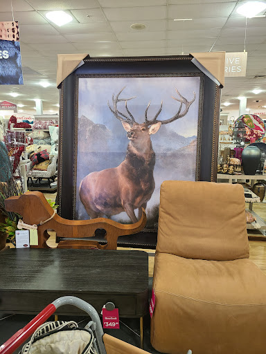 Department Store «HomeGoods», reviews and photos, 309 Newbury St, Danvers, MA 01923, USA