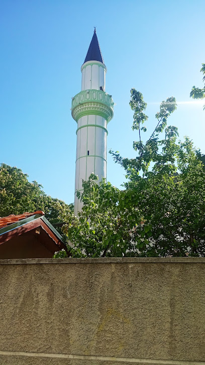 Централна джамия на Добрич