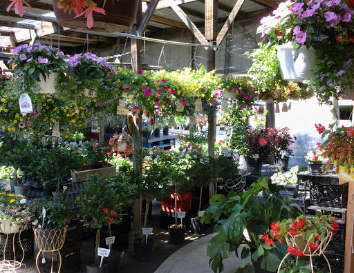 Florist «Sunshine Flowers», reviews and photos, 4509 Rainbow Blvd, Kansas City, KS 66103, USA