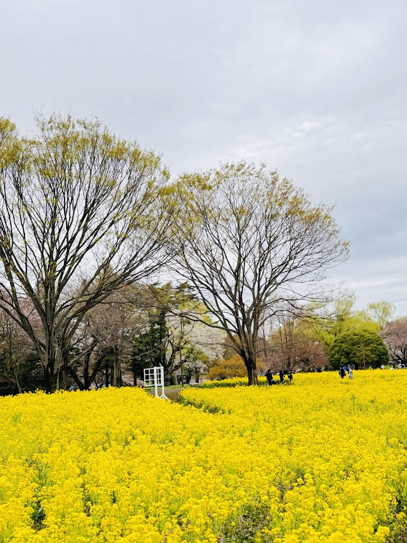 昭和記念公園 砂川口駐車場