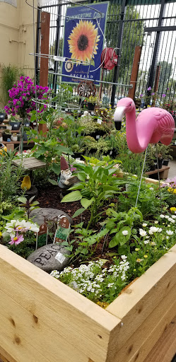 Hardware Store «Orchard Supply Hardware», reviews and photos, 17506 Yorba Linda Blvd, Yorba Linda, CA 92886, USA