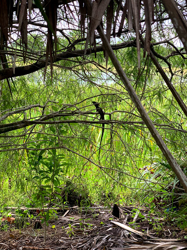 Community Center «Volunteer Park Community Center», reviews and photos, 12050 W Sunrise Blvd, Plantation, FL 33323, USA