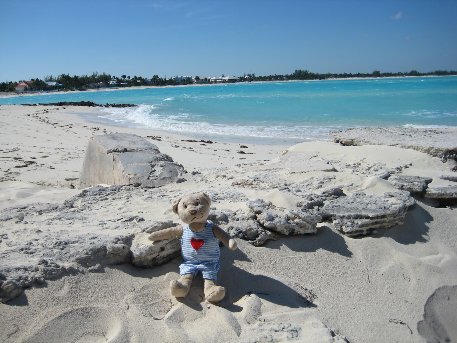 Foto av Leeward beach med något ren nivå av renlighet
