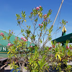 Photo n°4 de l'avis de Volker.c fait le 31/01/2020 à 17:10 sur le  Höhengaststätte Rietburg à Edenkoben