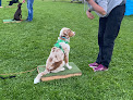 Bankhouse Barkers Dog Training Club