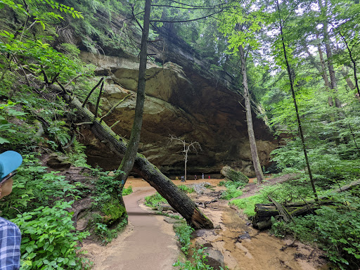 Museum «National Geographic Museum», reviews and photos, 1145 17th Street NW, Washington, DC 20036, USA