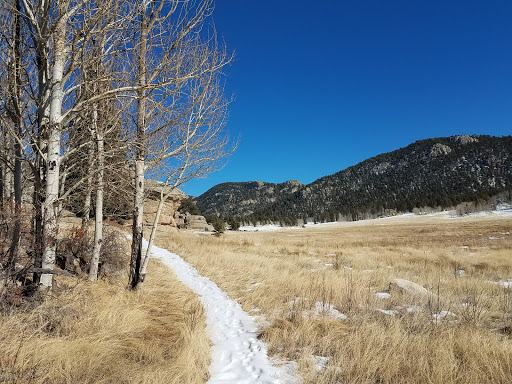 General Store «Eleven Mile General Store», reviews and photos, 5790 Co Rd 92, Lake George, CO 80827, USA