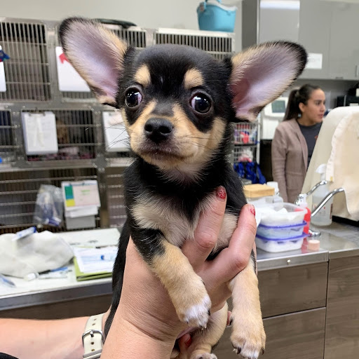 Pet Supply Store «North Tampa PET DEPOT», reviews and photos, 16033 Tampa Palms Blvd W, Tampa, FL 33647, USA