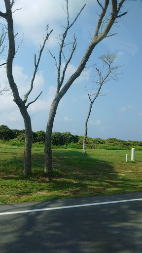 Golf Club «Oak Island Golf Club», reviews and photos, 928 Caswell Beach Rd, Oak Island, NC 28465, USA