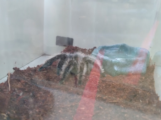 Pet Supply Store «Pet Supplies Plus», reviews and photos, 101 Sutton Ave, Oxford, MA 01540, USA