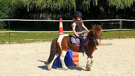 Lex Little Learners- Equestrian Rider Coaching
