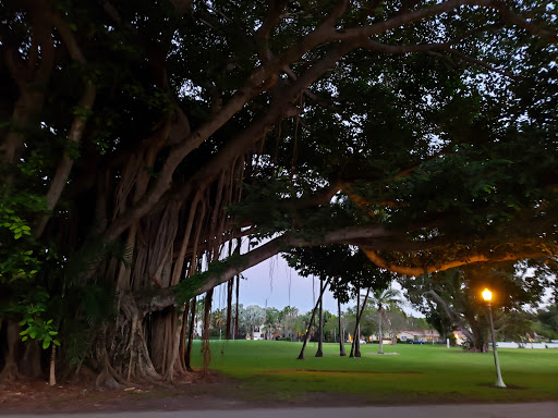 Golf Course «Granada Golf Course», reviews and photos, 2001 Granada Blvd, Coral Gables, FL 33134, USA