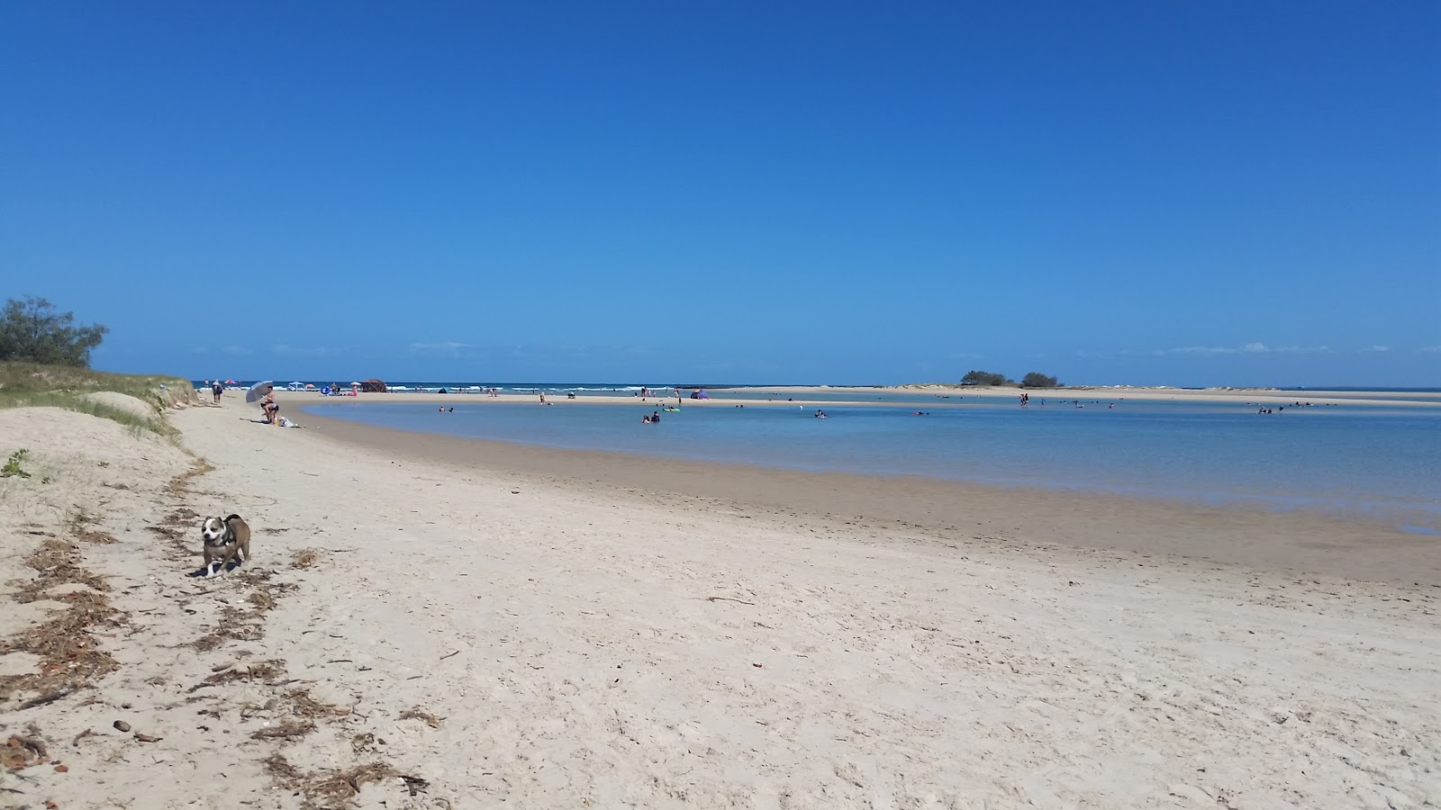 Foto van Elliott Heads Beach met helder zand oppervlakte