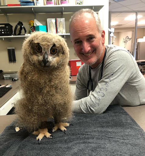 Exotic Vet Care image