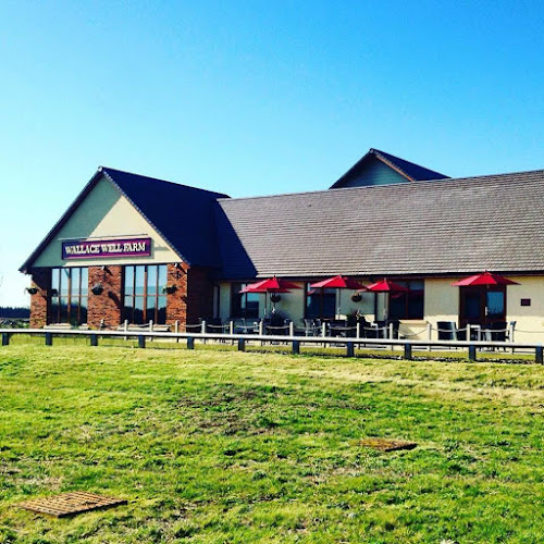 Wallace Well Farm - Dining & Carvery - Pub