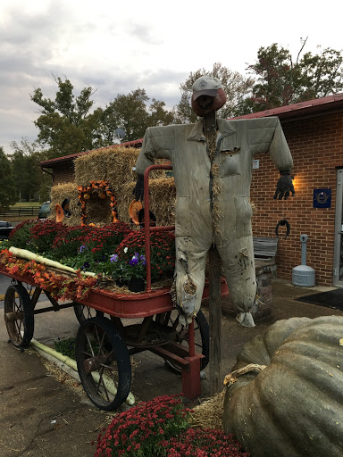 Hardware Store «Homestead Hardware», reviews and photos, 13146 Jefferson Davis Hwy, Woodford, VA 22580, USA