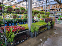 The Home Depot - Photo 9 - Car repair in Aiken, SC, Augusta