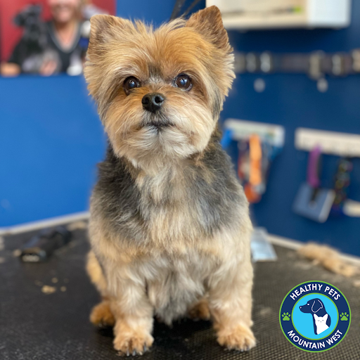 Pet Store «Healthy Pets Mountain West», reviews and photos, 2352 Fort Union Blvd, Cottonwood Heights, UT 84121, USA