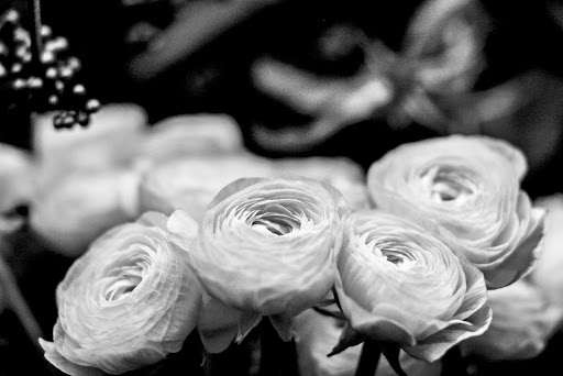 Florist «Moss Pink Flora», reviews and photos, 4615 E 23rd Ave, Denver, CO 80207, USA