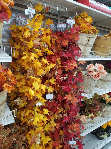 Craft Store «Michaels», reviews and photos, 18902 Rehoboth Mall Blvd, Rehoboth Beach, DE 19971, USA