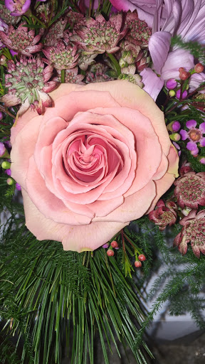 Florist «Mariposa Plants And Flowers», reviews and photos, 801 8th St #110, Greeley, CO 80631, USA