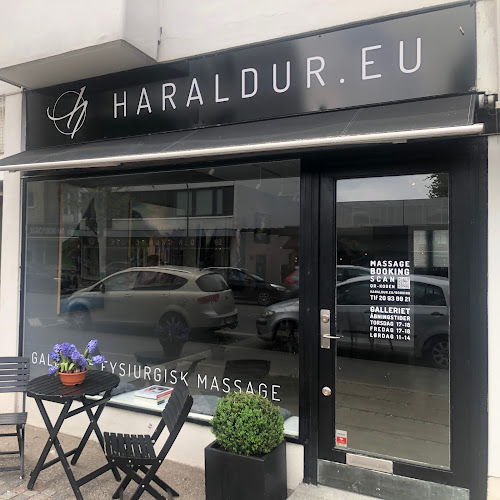 HARALDUR.EU