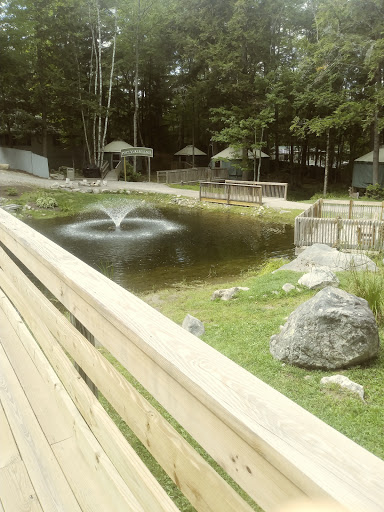 Non-Profit Organization «Camp Sunshine at Sebago Lake», reviews and photos