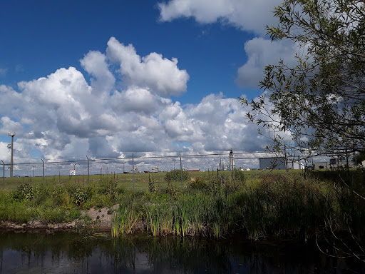 Nature Preserve «Times Beach Nature Preserve», reviews and photos, Coast Guard Station S Rd, Buffalo, NY 14203, USA