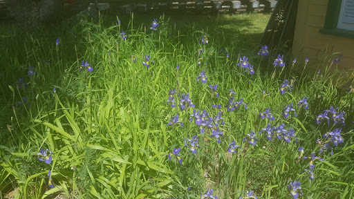 Museum «Seashore Trolley Museum», reviews and photos, 195 Log Cabin Rd, Kennebunkport, ME 04046, USA