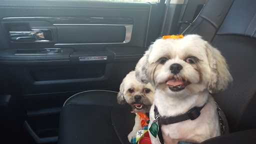 Pet Supply Store «Petco Animal Supplies», reviews and photos, 3264 Buford Dr NE #110, Buford, GA 30519, USA