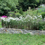 Photo n°15 de l'avis de Andrea. fait le 07/08/2020 à 12:02 sur le  Mirtillo Rosso Family Hotel à Riva Valdobbia