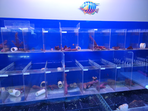 Tropical Fish Store «Coral Reef Aquariums», reviews and photos, 8416 N Armenia Ave, Tampa, FL 33604, USA