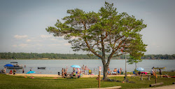 Howdenvale Beach'in fotoğrafı çok temiz temizlik seviyesi ile