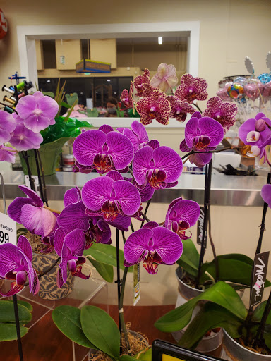 Grocery Store «Albertsons», reviews and photos, 3520 Pacific Ave SE, Olympia, WA 98501, USA