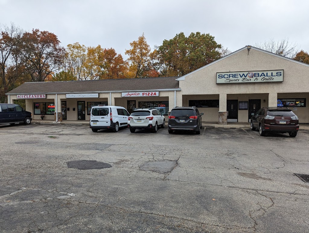 Angelo's Pizza Co 19406