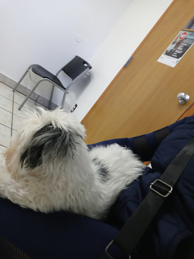 23625 Van Dyke, Warren, MI 48089, USA