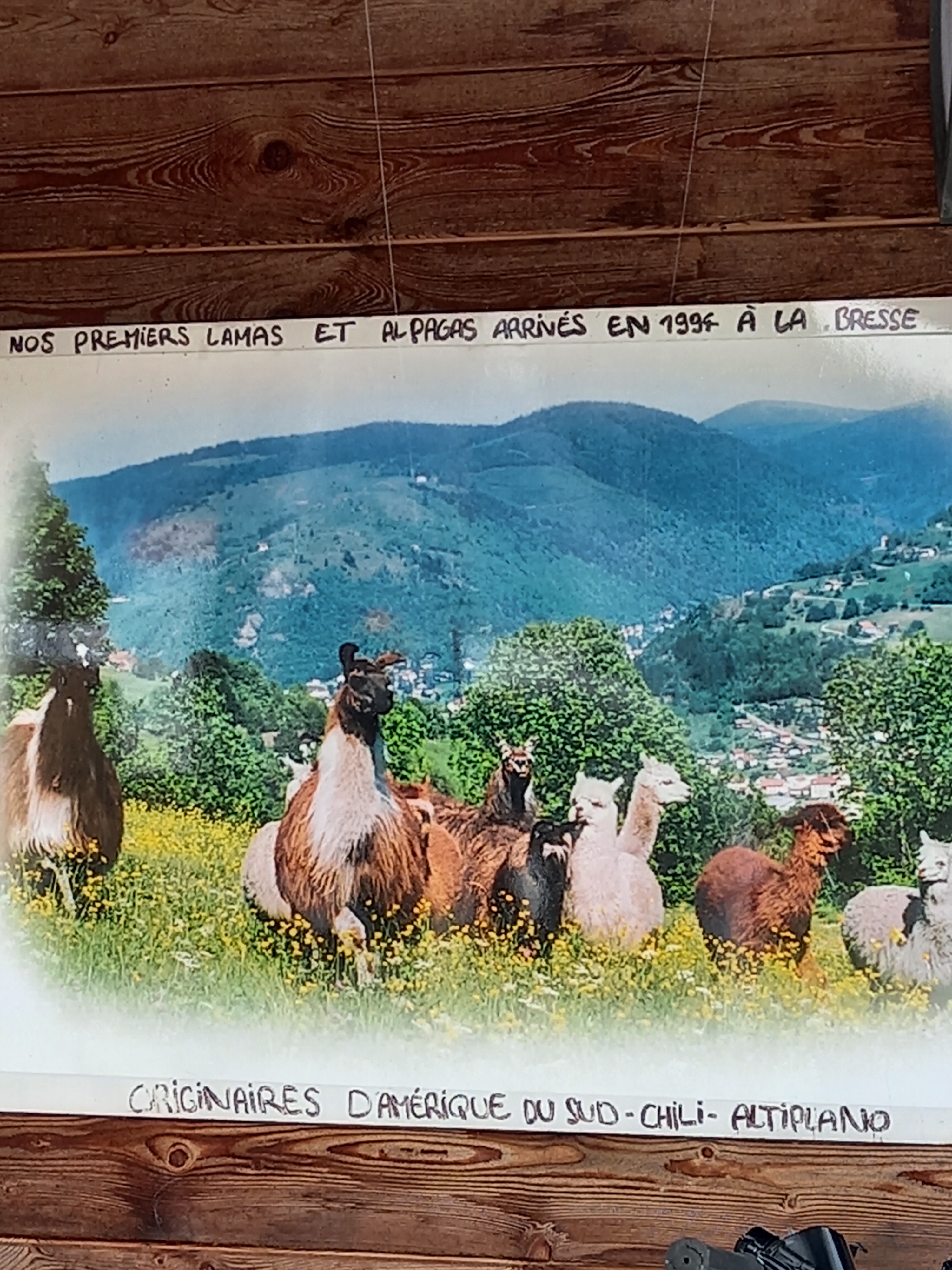 Photo n° 48 de l'avis de durduret.i fait le 06/06/2022 à 14:20