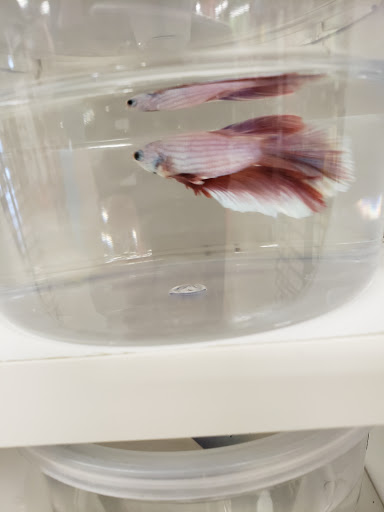 Pet Supply Store «Petco Animal Supplies», reviews and photos, 525 S 5th St, Bismarck, ND 58504, USA