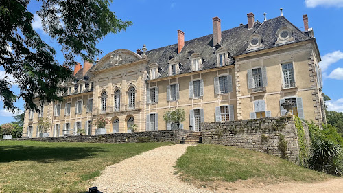 Château de la Ferté à Saint-Ambreuil