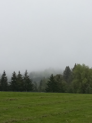 Dog Park «Hazeldale Park/ Dog park», reviews and photos, SW Farmington Rd, Aloha, OR 97007, USA