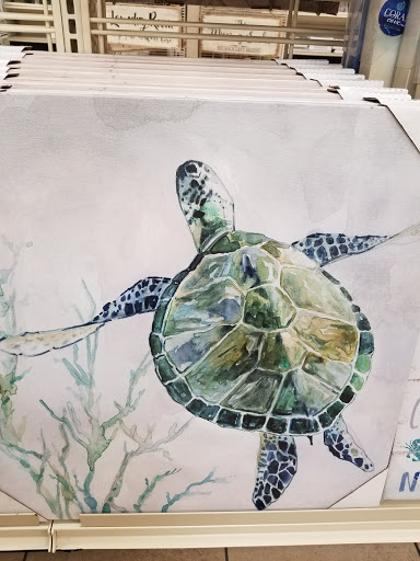 Home Goods Store «Christmas Tree Shops», reviews and photos, 2264 Miamisburg Centerville Rd, Dayton, OH 45459, USA