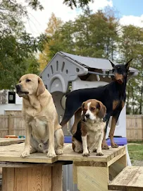 Wag On Inn - Car repair in Medina, OH, Akron - Rated 4.6/5