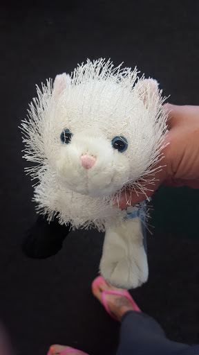 Dollar Store «Dollar Tree», reviews and photos, 4311 E Lincolnway n, Sterling, IL 61081, USA