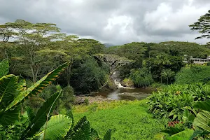 Kauai's Hindu Monastery image