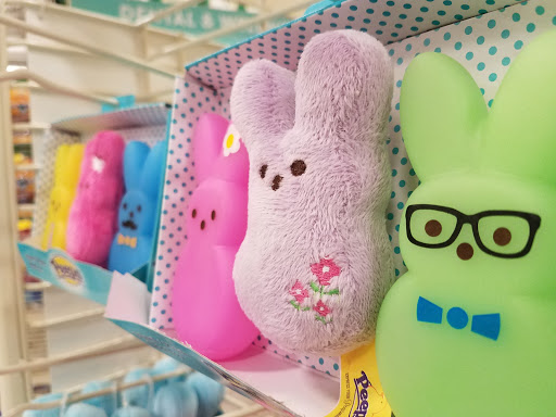 Pet Supply Store «PetSmart», reviews and photos, 1900 W International Speedway Blvd, Daytona Beach, FL 32114, USA