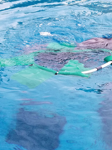 Grocery Store «Albertsons», reviews and photos, 3825 Alton Pkwy, Irvine, CA 92606, USA